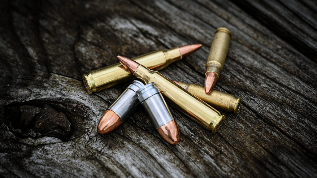 Detroit Ammunition Company loose rounds. 