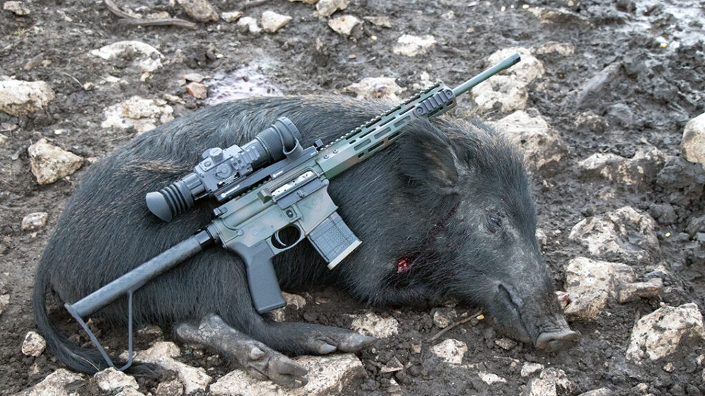 The hunters had success with Wilson Combat and Armasight combos on Texas hogs. 