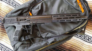 The Ruger LC Carbine 45.