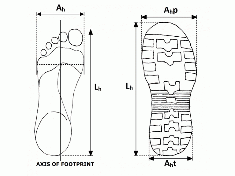 Footprints vs Shoeprints - Real World Survivor
