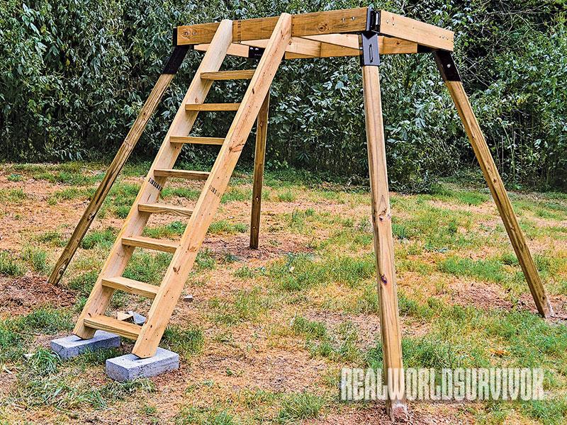 Build Your Own Buck Tower and Hunt With