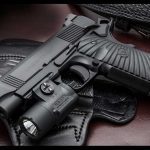 wilson combat, wilson combat protector, wilson combat protector professional, wilson combat 2015 protector, wilson combat protector compact, wilson compact protector full-size