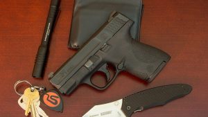 Must-Have Guns Smith & Wesson M&P Shield 9mm Pistol