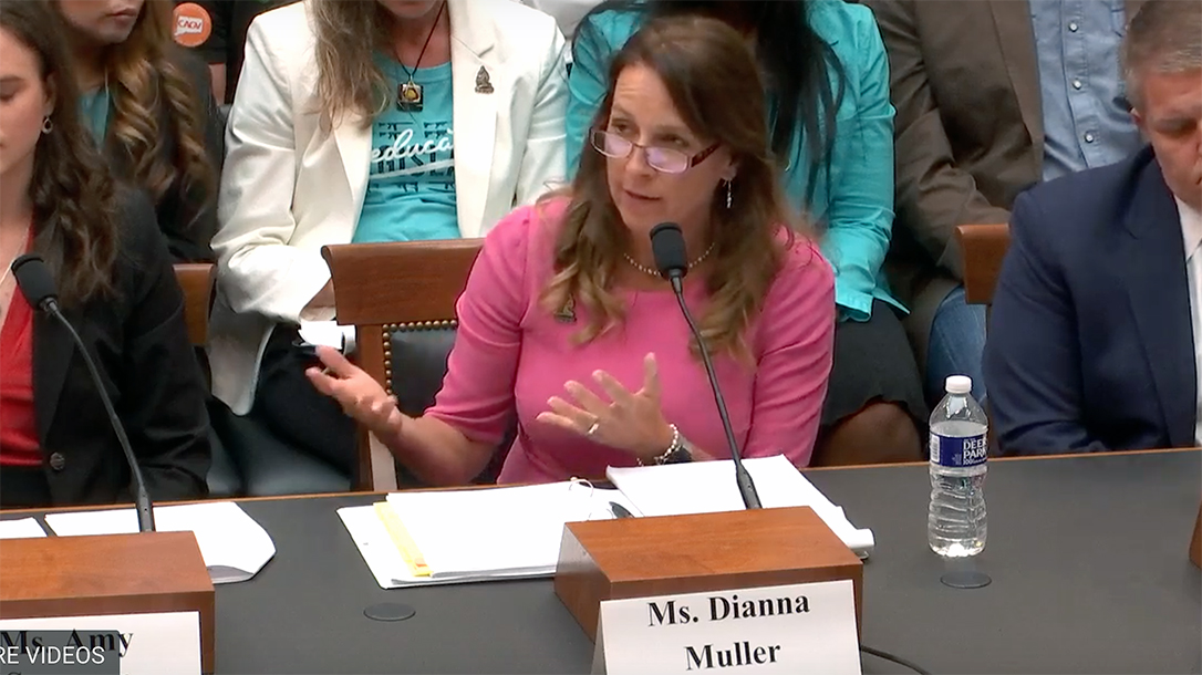 Dianna Muller spoked before House Judiciary Committee.