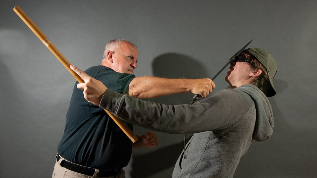 Smashing the face or head can quickly take an aggressor out of the fight.