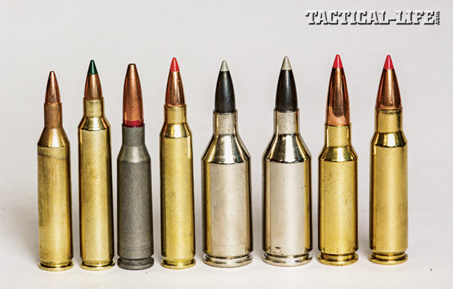 Beyond The 223 Alternative Cartridges For The Ar Platform Roundup Tactical Life Gun Magazine Gun News And Gun Reviews