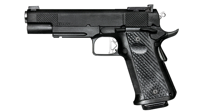 10mm, 10mm auto, 10mm pistol, 10mm pistols, Dan Wesson Elite Series Titan