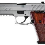 10mm, 10mm auto, 10mm pistol, 10mm pistols, Sig Sauer P220 Elite Stainless